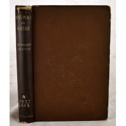 The Sun's Place in Nature